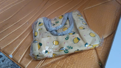 Insulated Travel Lunch / Tiffin / Storage Bag (1 Pc)